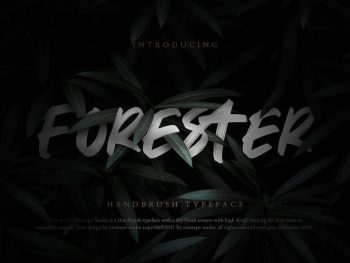 Forester Handbrush Business Font Yazı Tipi