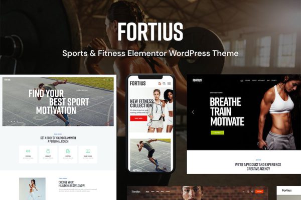 Fortius WordPress Teması