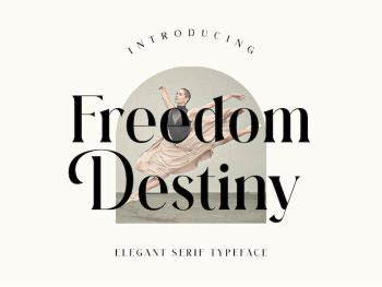 Freedom Destiny Yazı Tipi