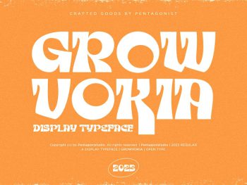 GROWVOKIA | Groovy Display Yazı Tipi