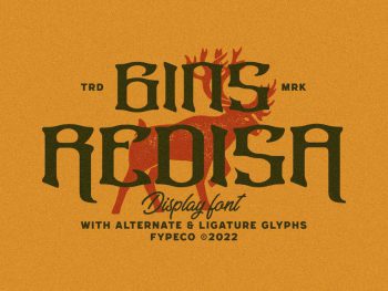 Gins Redisa - Vintage Display Font Yazı Tipi