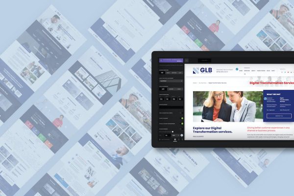 Glb - Responsive Multi-purpose WordPress Teması