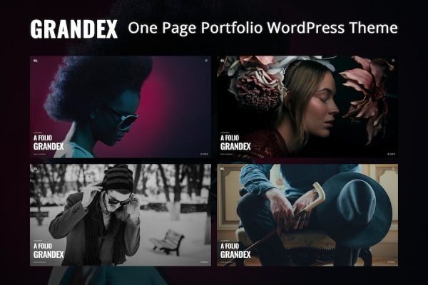 Grandex - One Page Portfolio WordPress Teması