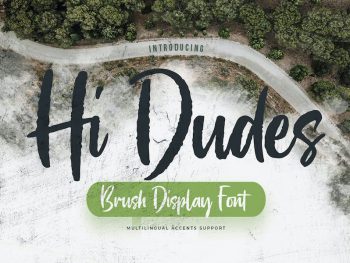 Hi Dudes - Brush Display Font Yazı Tipi