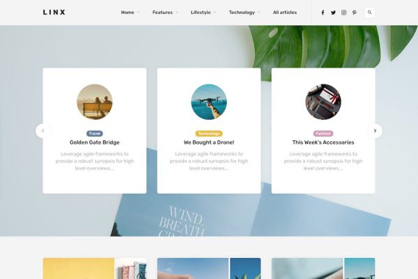 Linx -  Blog & Magazine Theme WordPress Teması