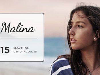 Malina - Personal  Blog Theme WordPress Teması