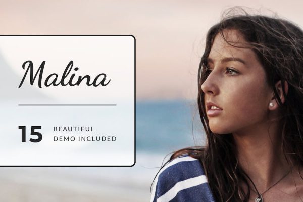 Malina - Personal  Blog Theme WordPress Teması