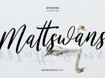 Mattswans Script Font Yazı Tipi