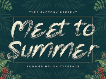 Meet to Summer - Summer Brush Typeface Yazı Tipi