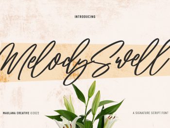 Melody Swell Script Font Yazı Tipi