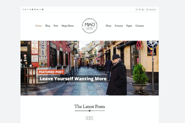 Miao - Clean Blog & Shop WordPress Teması