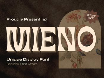 Mieno - Serif Display Font Yazı Tipi