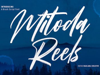 Mitoda Reels Brush Script Font Yazı Tipi