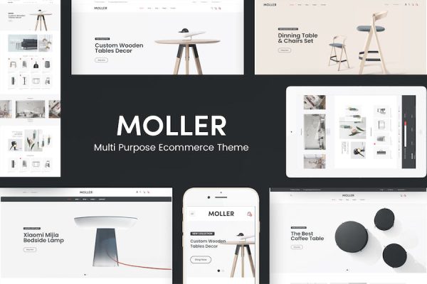 Moller - Furniture WooCommerce WordPress Teması