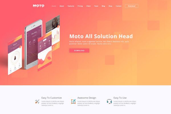 Moto -  Landing Page Theme WordPress Teması