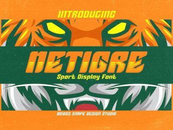 Netigre - Sport Font Yazı Tipi