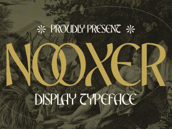 Nooxer Display Typeface Font Yazı Tipi