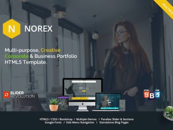 Norex - One Page Parallax Yazı Tipi