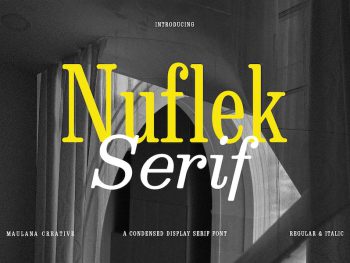 Nuflek Display Serif Font Yazı Tipi