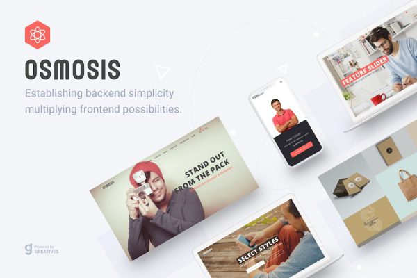 Osmosis - Responsive Multipurpose WordPress Teması