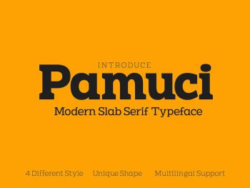 Pamuci - Modern Slab Serif Typeface Yazı Tipi