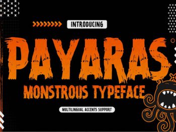 Payaras - Display Sans Yazı Tipi