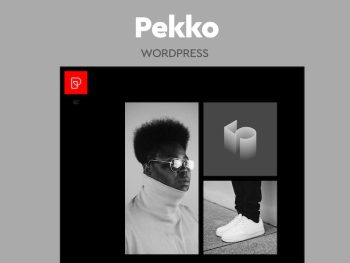 Pekko - Minimal Dark WordPress Teması