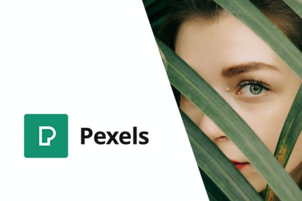 Pexels - Import Free Stock Images into WordPress WordPress Eklentisi