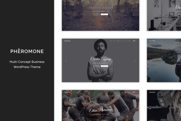 Pheromone - Creative Multi-Concept WordPress Teması