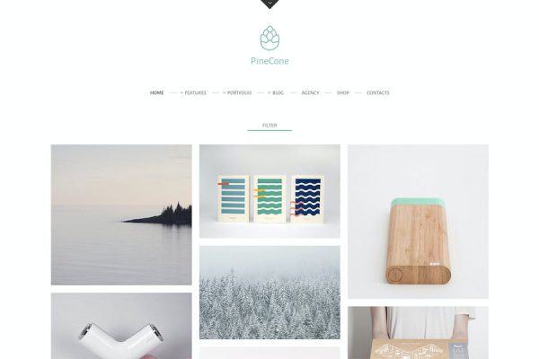 PineCone - Creative Portfolio and Blog for Agency WordPress Teması