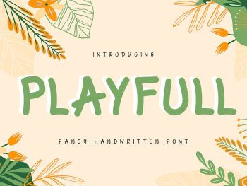 Playfull | Fancy Handwritten Font Yazı Tipi