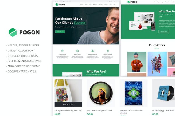 Pogon - Business and Finance Corporate Theme WordPress Teması