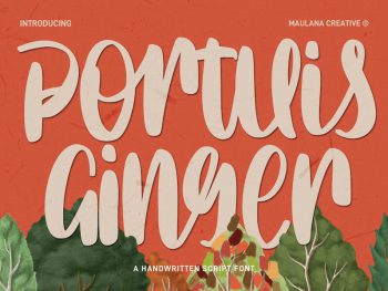 Portuis Ginger Handwritten Script Font Yazı Tipi