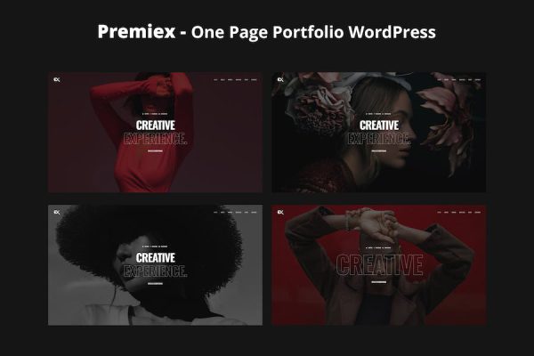 Premiex - One Page Portfolio WordPress Teması