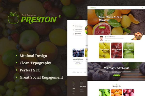 Preston WordPress Teması