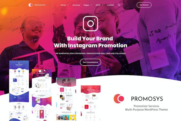 PromoSys Promotion Services WordPress Teması