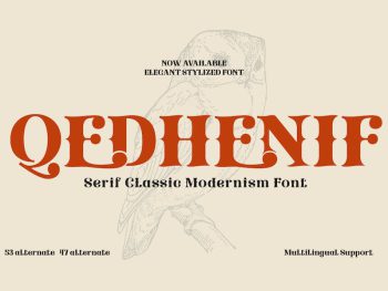 Qedhenif – Serif Classic Modernism Font Yazı Tipi