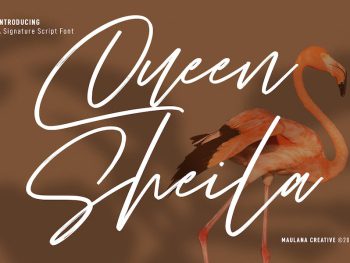 Queen Sheila Signature Script Font Yazı Tipi