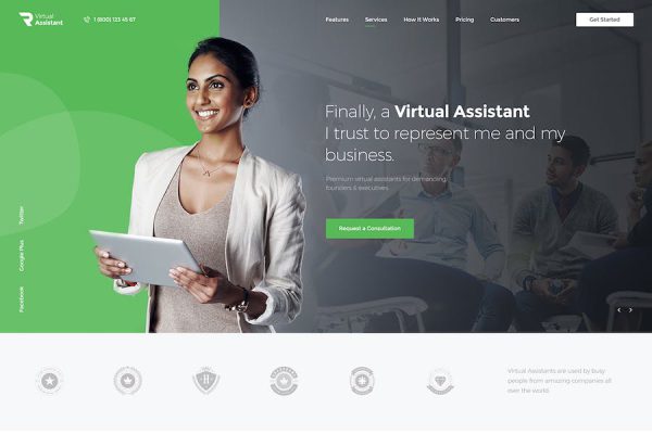 Revirta - Virtual Assistant WordPress Teması