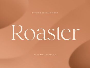 Roaster - Stylish Elegant Font Yazı Tipi