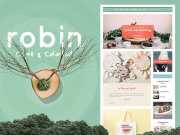Robin - Cute & Colorful Blog Theme WordPress Teması