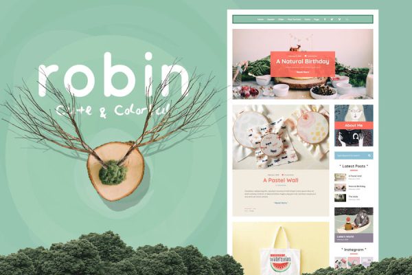 Robin - Cute & Colorful Blog Theme WordPress Teması