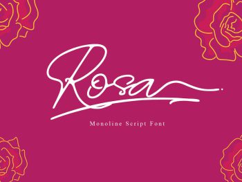 Rosa Signature typeface Yazı Tipi