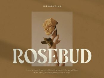 Rosebud - Display Vintage Font Yazı Tipi