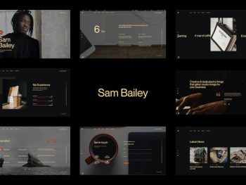 Sam Bailey - Personal CV/Resume WordPress Teması