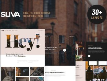 Sliva - Responsive Multi-Purpose Theme WordPress Teması