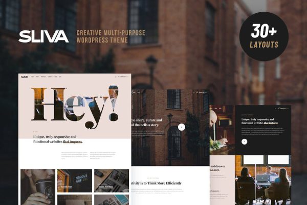 Sliva - Responsive Multi-Purpose Theme WordPress Teması