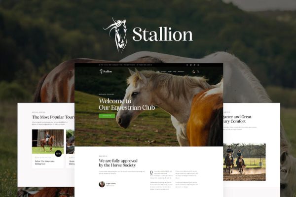 Stallion WordPress Teması