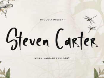 Steven Carter - Asian Hand Drawn Font Yazı Tipi