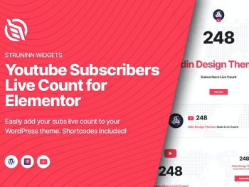 Struninn - Youtube Subscribers Live Count WordPress Eklentisi